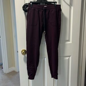 Zyia plum joggers